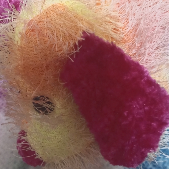 Small dog 🐶 - Picture 1 of 1